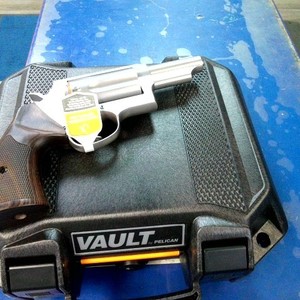 Taurus Judge