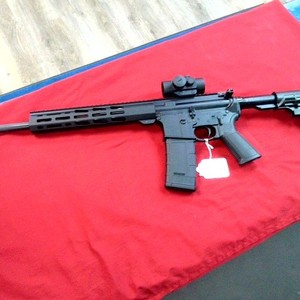 RUGER AR-556 .300 BLK