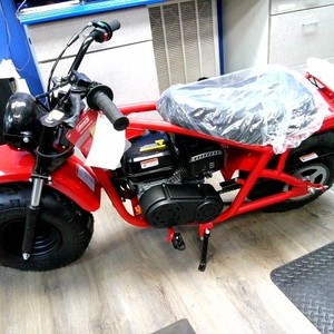 Coleman 8200R 196CC Gas - Powered Minibike