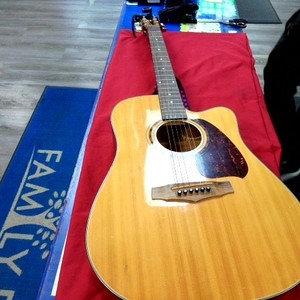 Ibanez PF5ECE-NT-14 Acoustic Guitar