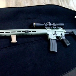 SIG SAUER M400 
