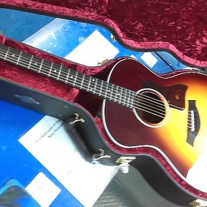 Taylor 214e-sb dlx