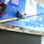 Zebco Fishing Rod