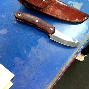 kershaw 2314 skinning knife