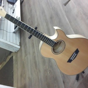 Washburn EA20-A