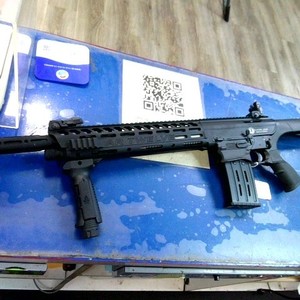 PANZER ARMS AR-12 - 12 GAUGE SHOTGUN