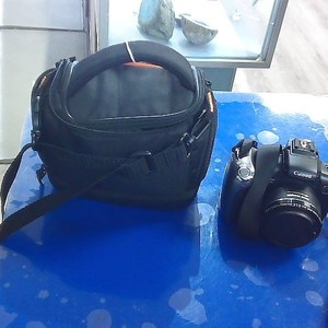 Canon SX20 IS