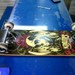 skateboard green