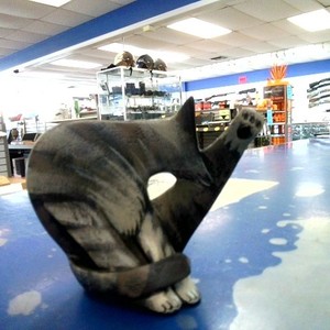 Plastic cat