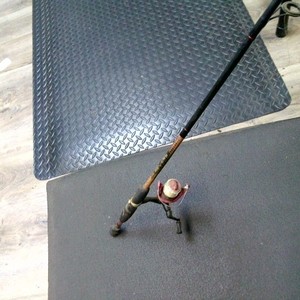 Shakespeare Reverb fishing rod