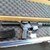 RADICAL RF-15 AR PISTOL - .223/5.56