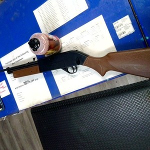 crossman 760 pumpmaster BB gun