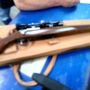 RUGER 77/17