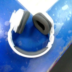 Turtle beach 