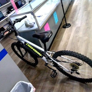 Nishiki Pueblo 24