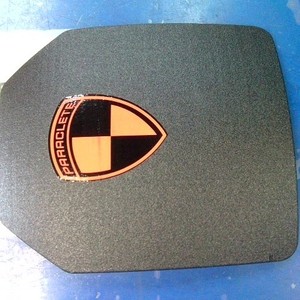 Paraclete level III A plate