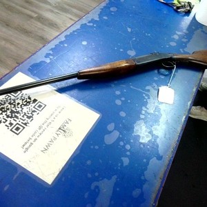 IVER JOHNSON Excel