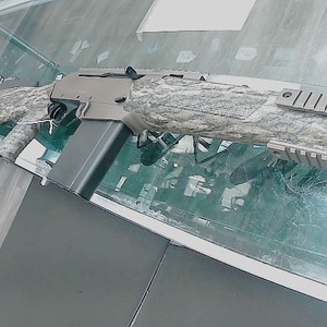 FN FNAR