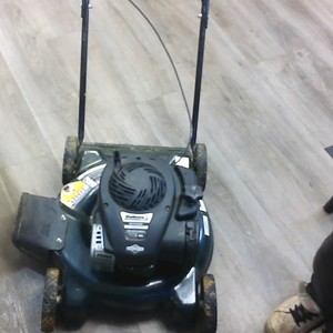 Bolen 20" cut