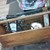 Vintage/Wood tool chest