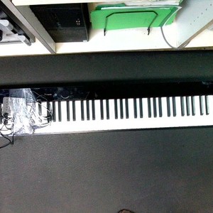 Casio Privia PX-s110