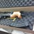 CENTURY ARMS MICRO DRACO - 7.62x39