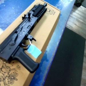 PIONEER ARMS MICRO HELLPUP