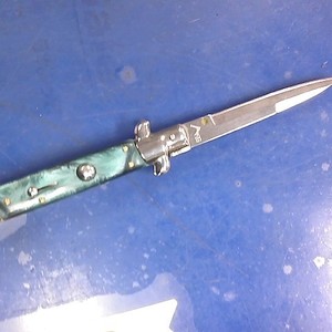 Akc Italian Stilleto