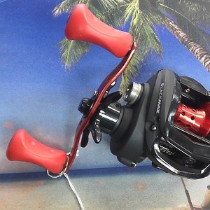 Abu Garcia Black Max