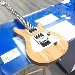 Paul Reid Smith SE Custom 