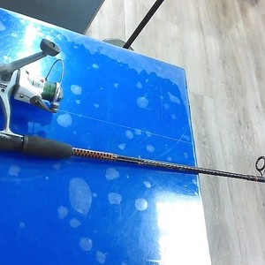 Jarvis Walker 100s/ugly stik