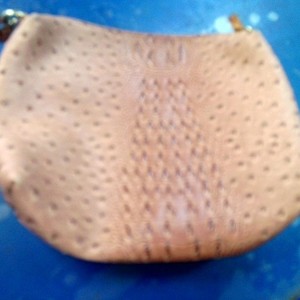Pink  Fake Brahmin