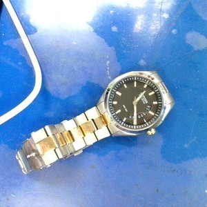 Citizen Eco Drive WR100