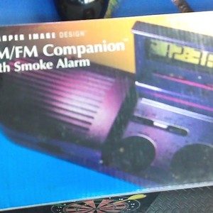 Sharper Image am/fm companion