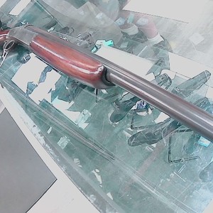 IVER JOHNSON champion