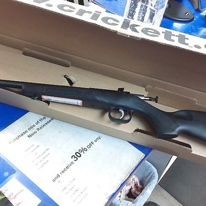 Keystone sporting arms crickett