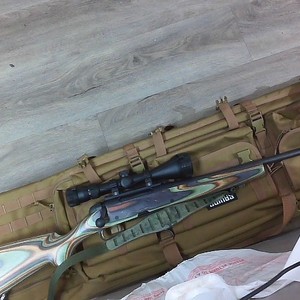 STEYR ARMS pro hunter II