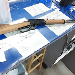 Henry Repeating Arms H001