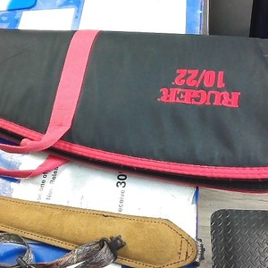 Ruger 10/22 bag