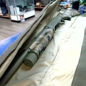 SILVER EAGLE alpha 2