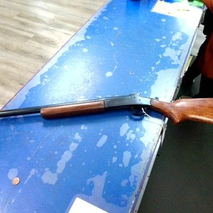 Harrington & Richardson Topper M48