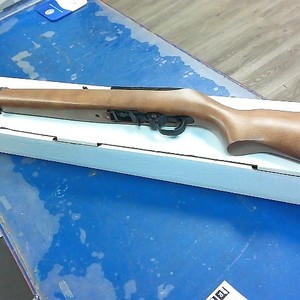 Ruger 10/22